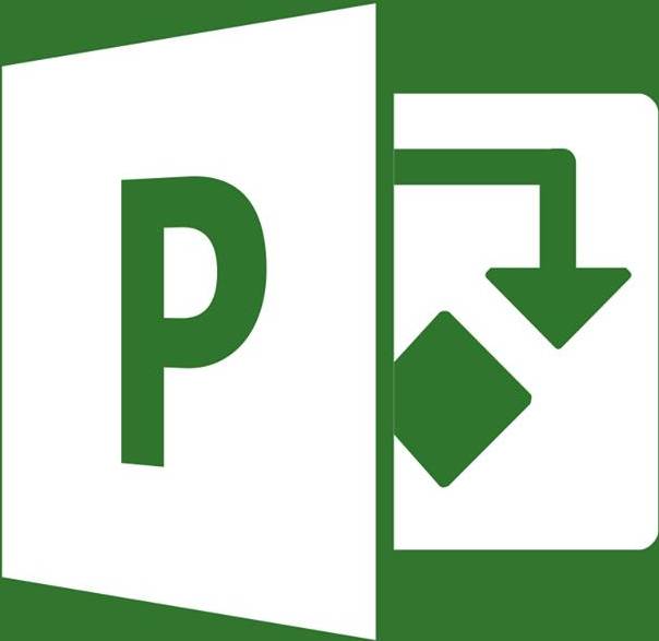 Microsoft ProjectServer CAL Step-UP License