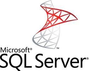 Microsoft SQL Server Enterprise Edition 1 Server