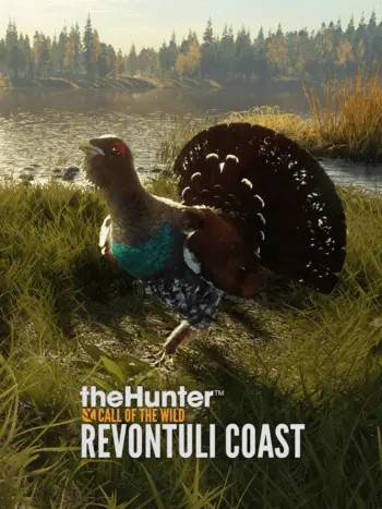 Revontuli Coast DLC PC Digital Code