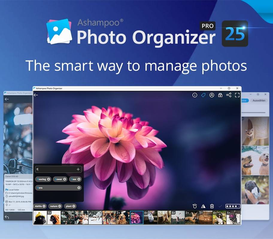 Ashampoo Photo Organizer Pro 25 Key