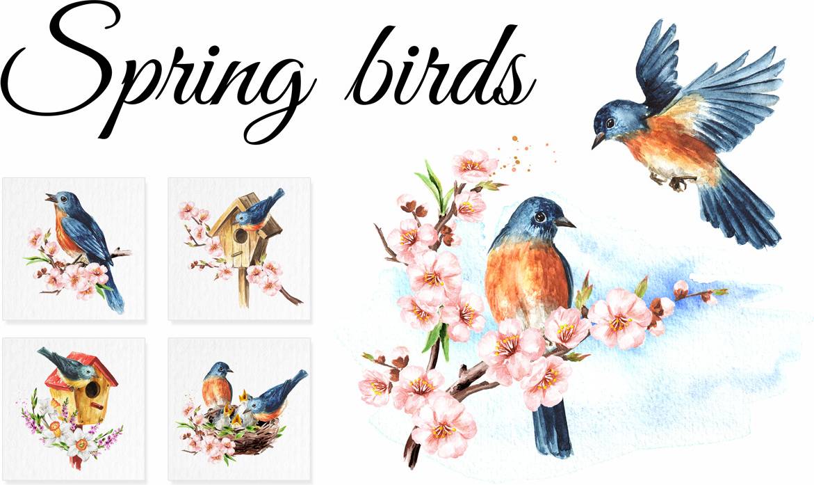 Spring Birds Poster