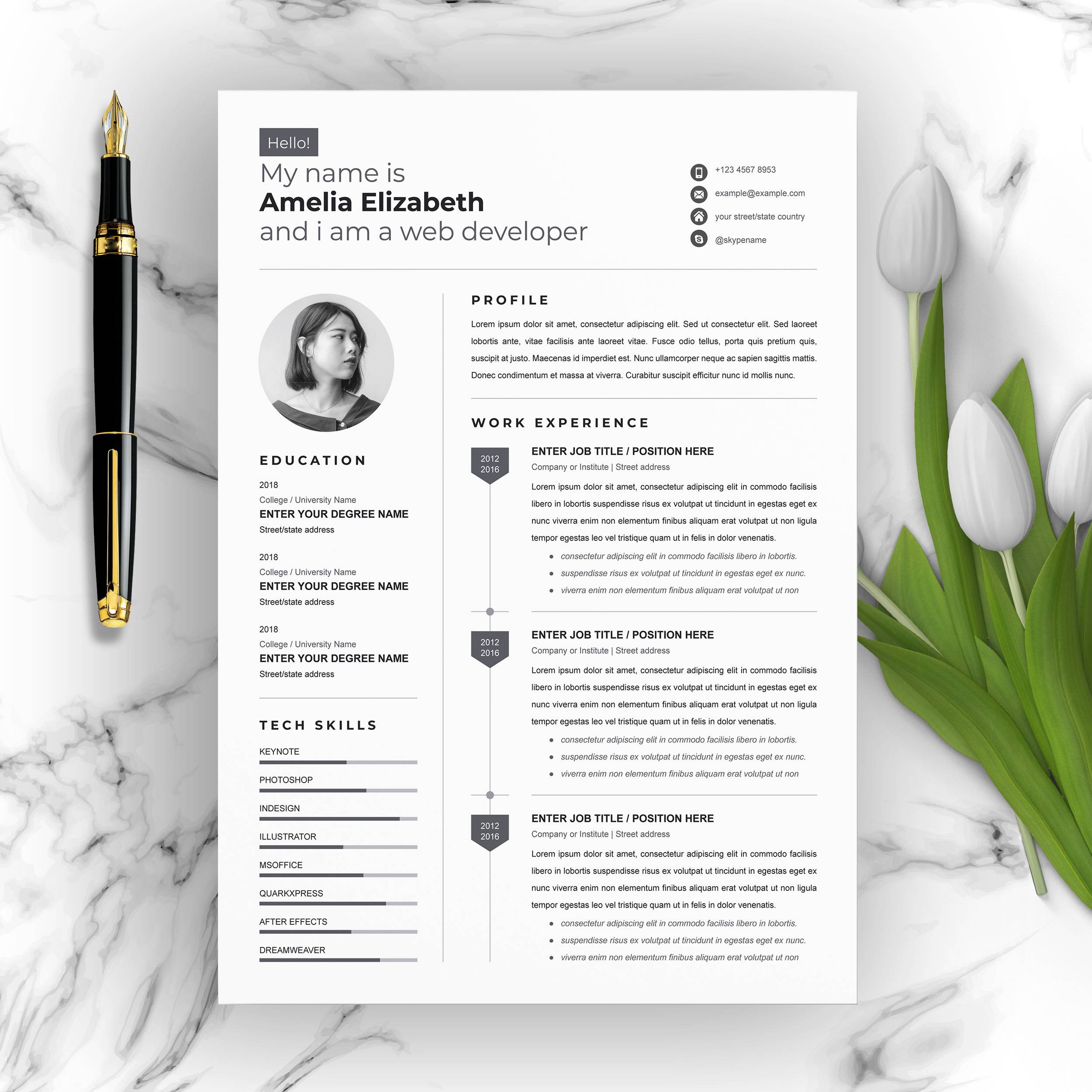 Résumé CV Template For Web Developer