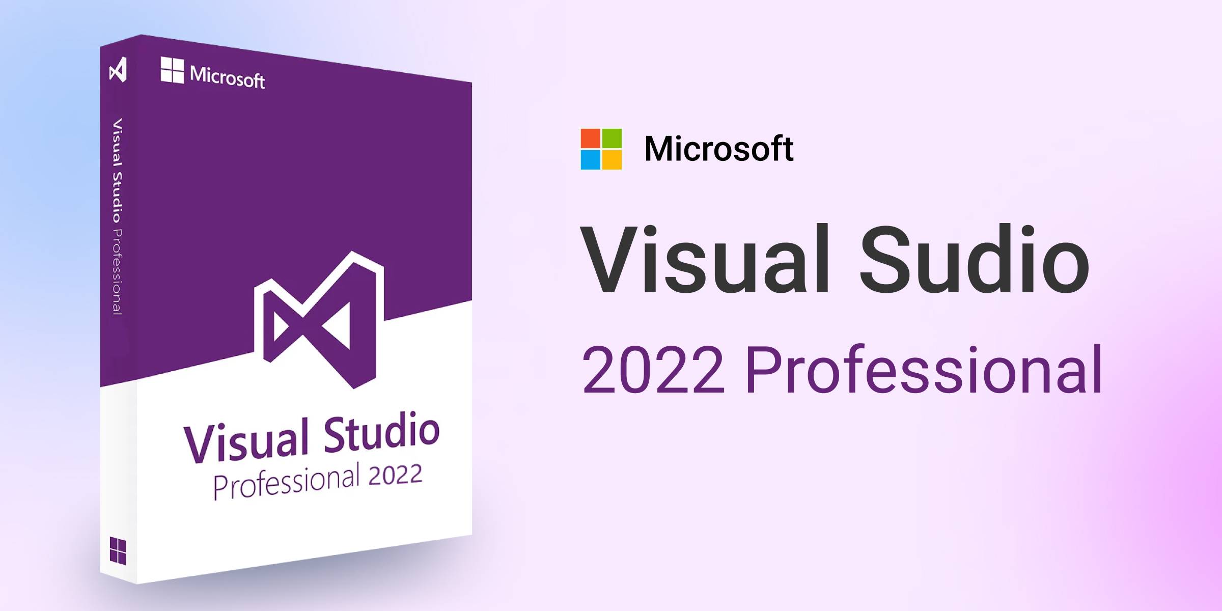 Microsoft Visual Studio 2022 Professional