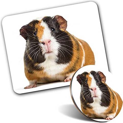 Destination Vinyl Rectangle Mouse Mat Round Coaster Set