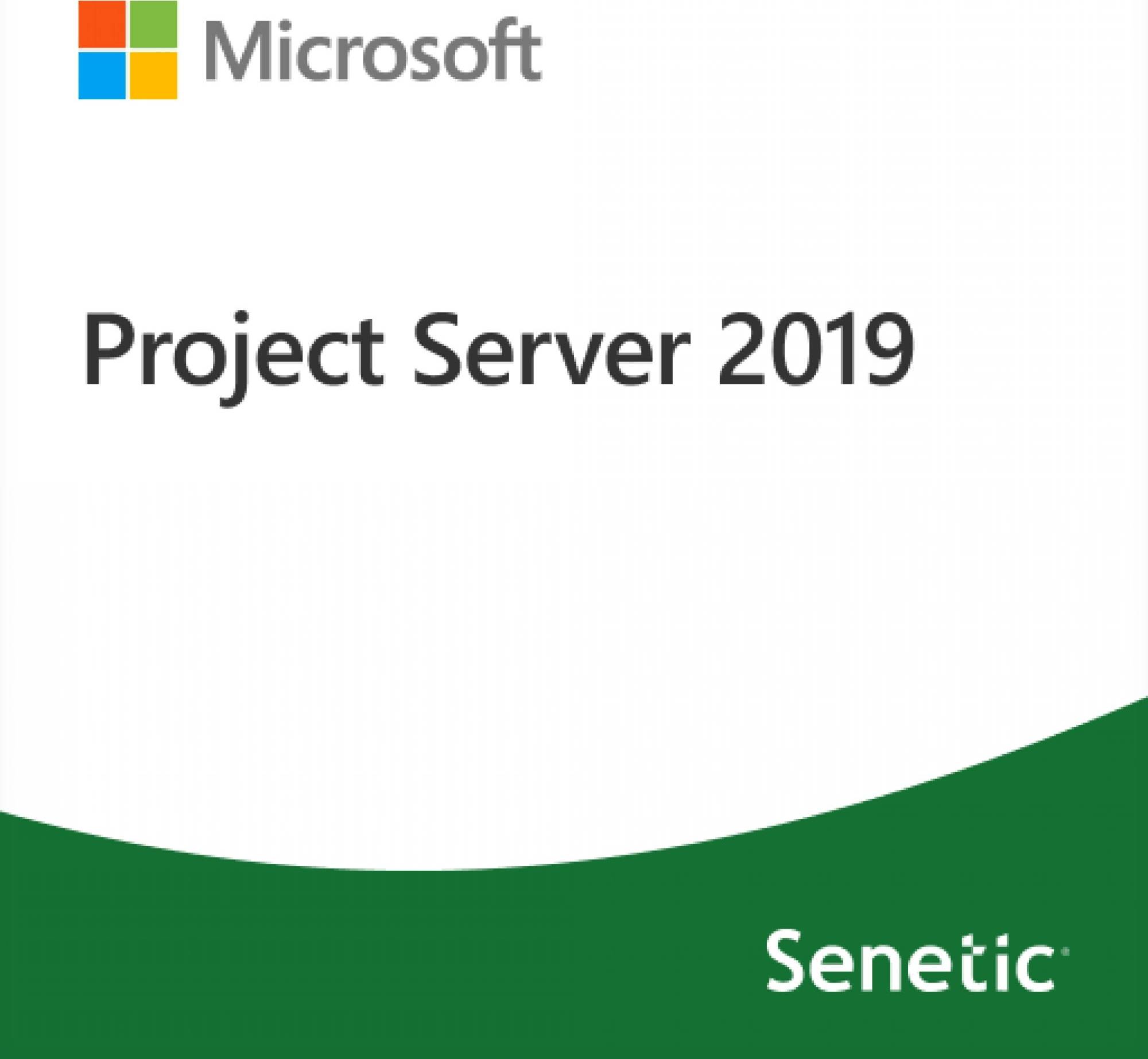 Microsoft Project Server 2019