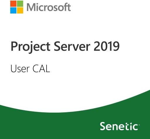 Microsoft Project Server 2019 User CAL