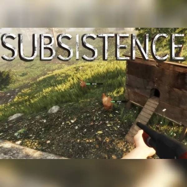 Subsistence PC Steam Account