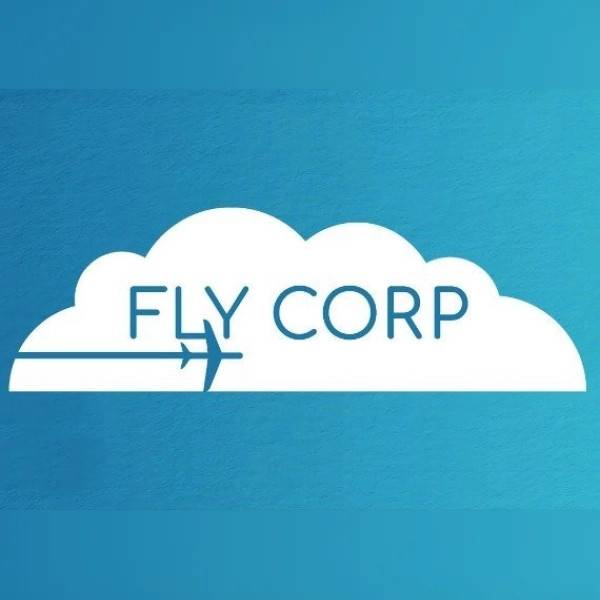 Fly Corp PC Steam Key