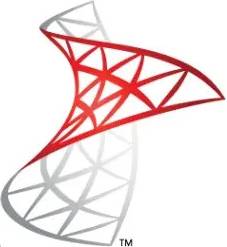 Microsoft SQL Server 2008 Standard 25 User CALs
