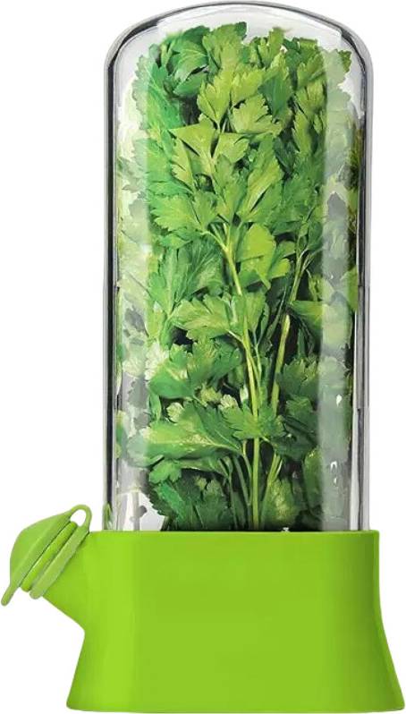 Herb Storage Box Container Green Kitchen Container