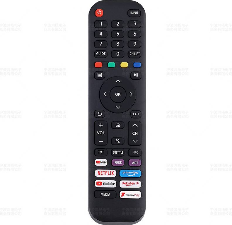 TV Remote Control EN2G30H
