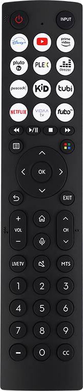 TV Remote Control ERF2B36H