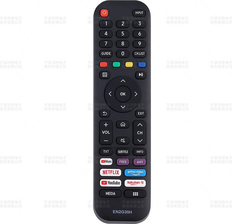 TV Remote Control EN2G30H