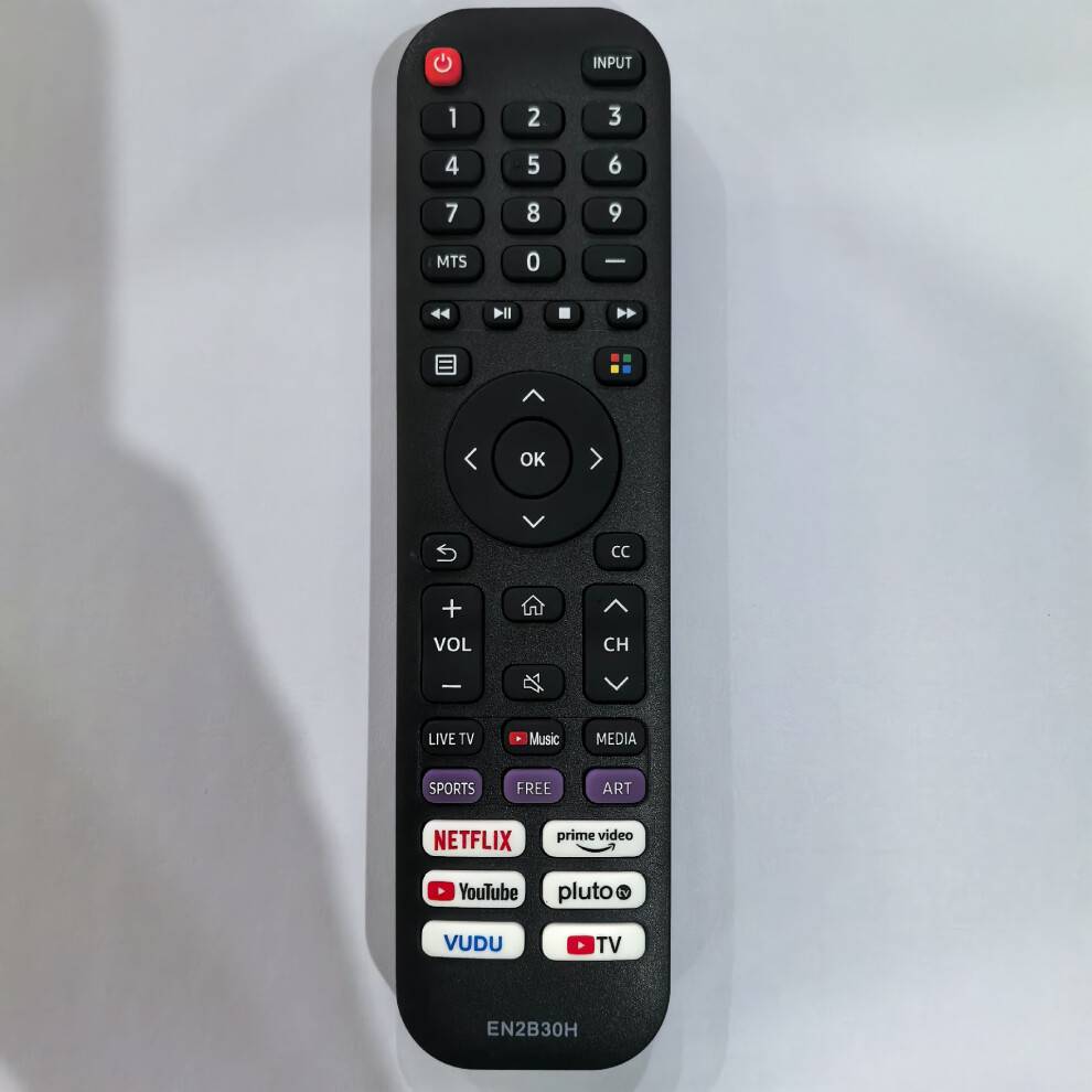 TV Remote Control EN2G30H