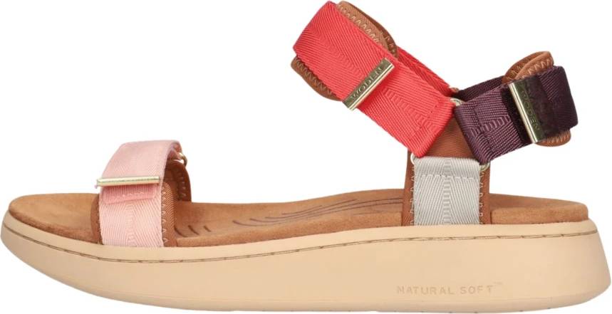 Line Sandals - Multicolor