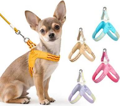 Shein Spring New Dog Harness With Leash Breathable Padding