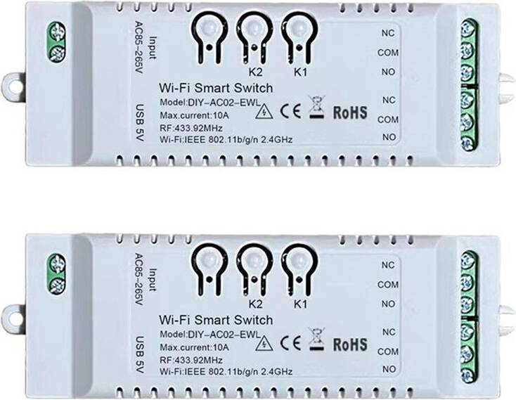 Torribaly 2CH WiFi DIY Timer EWeLink Module