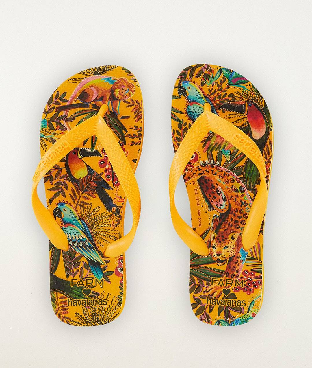 Farm Rio Into The Jungle Havaianas