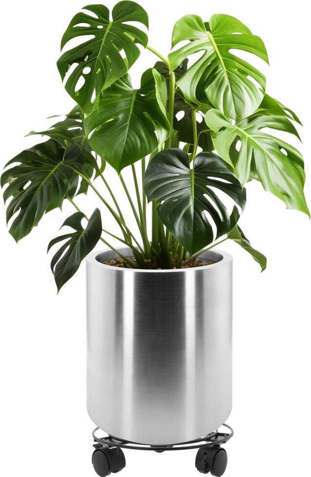 Large planters for garden Stainless Steel Wide Rim Round Planter 30cm
