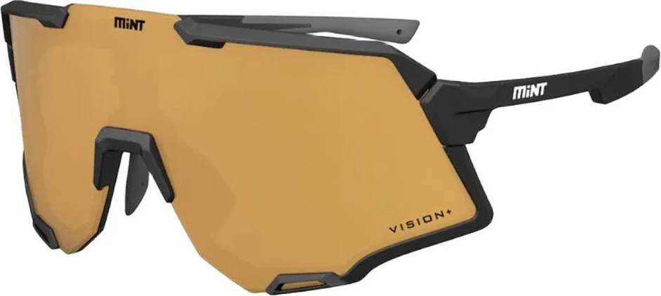 Vision+ Solbriller -