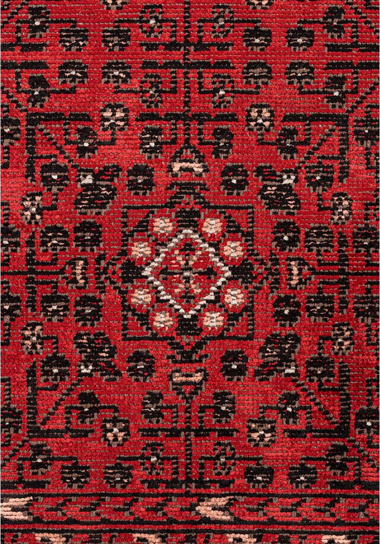 Langley Street Hand Loom Area Rug Red