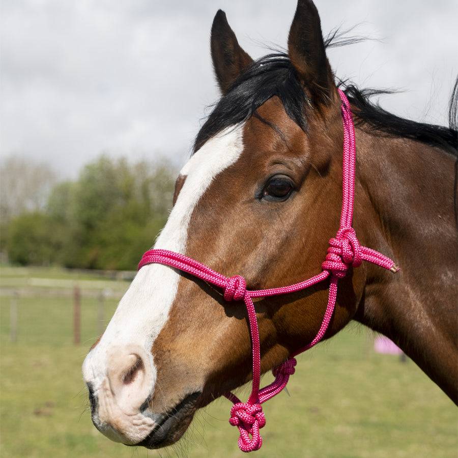 Equestrian Rope Halter
