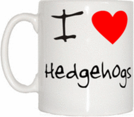 TeeTreeDesigns I Love Heart Hedgehogs Mug