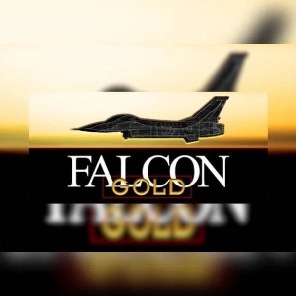 Falcon Gold PC Steam Key
