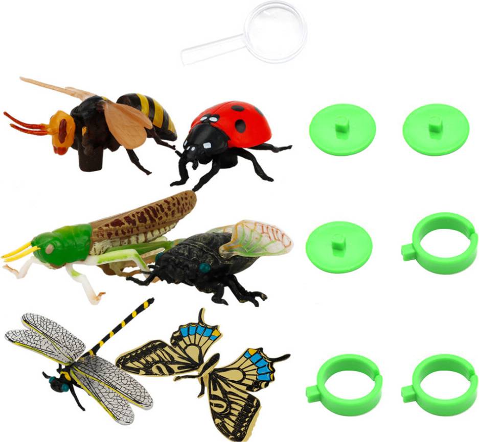 iplusmile Children's Science Learning Insect Animal Model