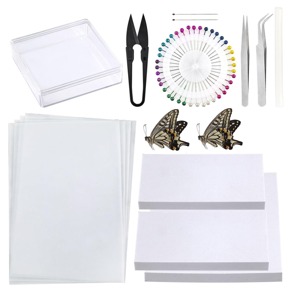 Melitt Insect Specimenmaking Tool Kit