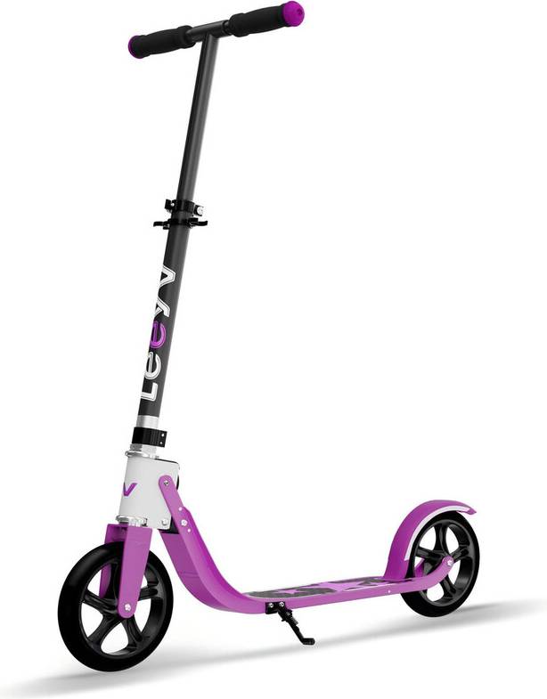 LEEYV Kick Scooter RV205 2-Wheel