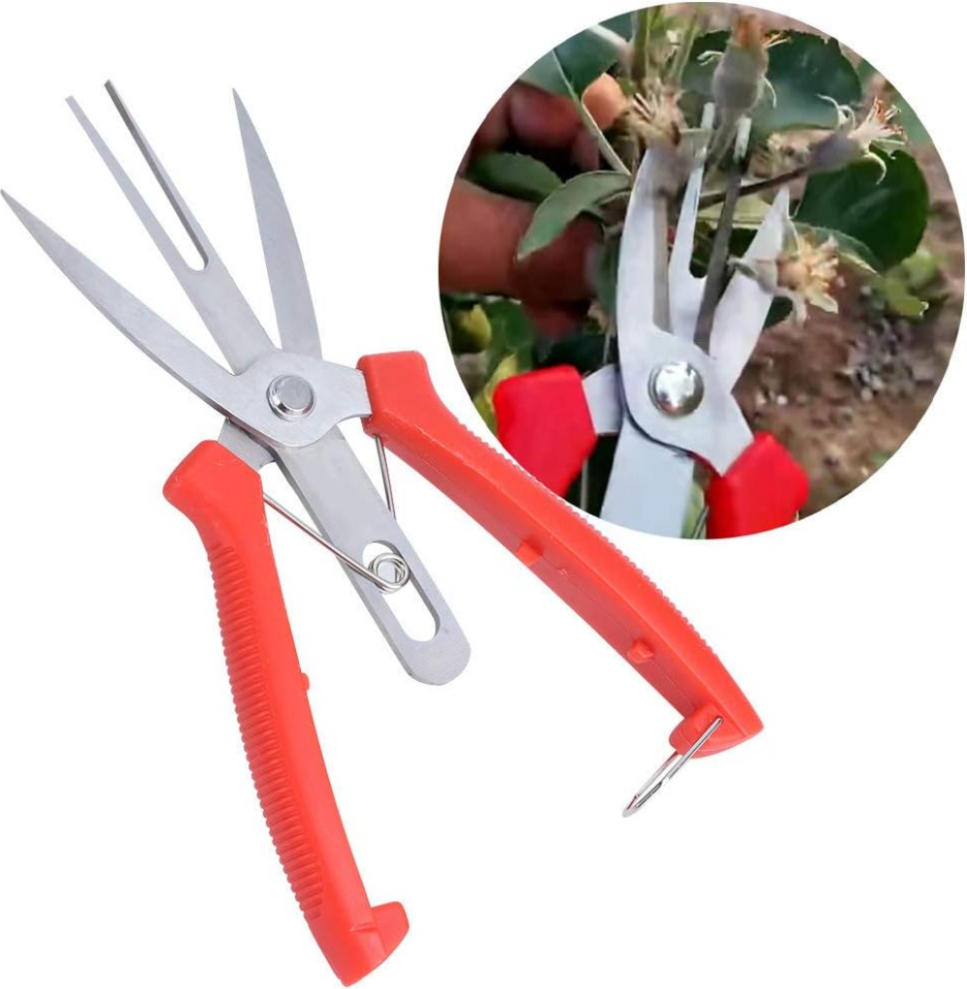 Stainless Forge Apple Tree Pear Scissors