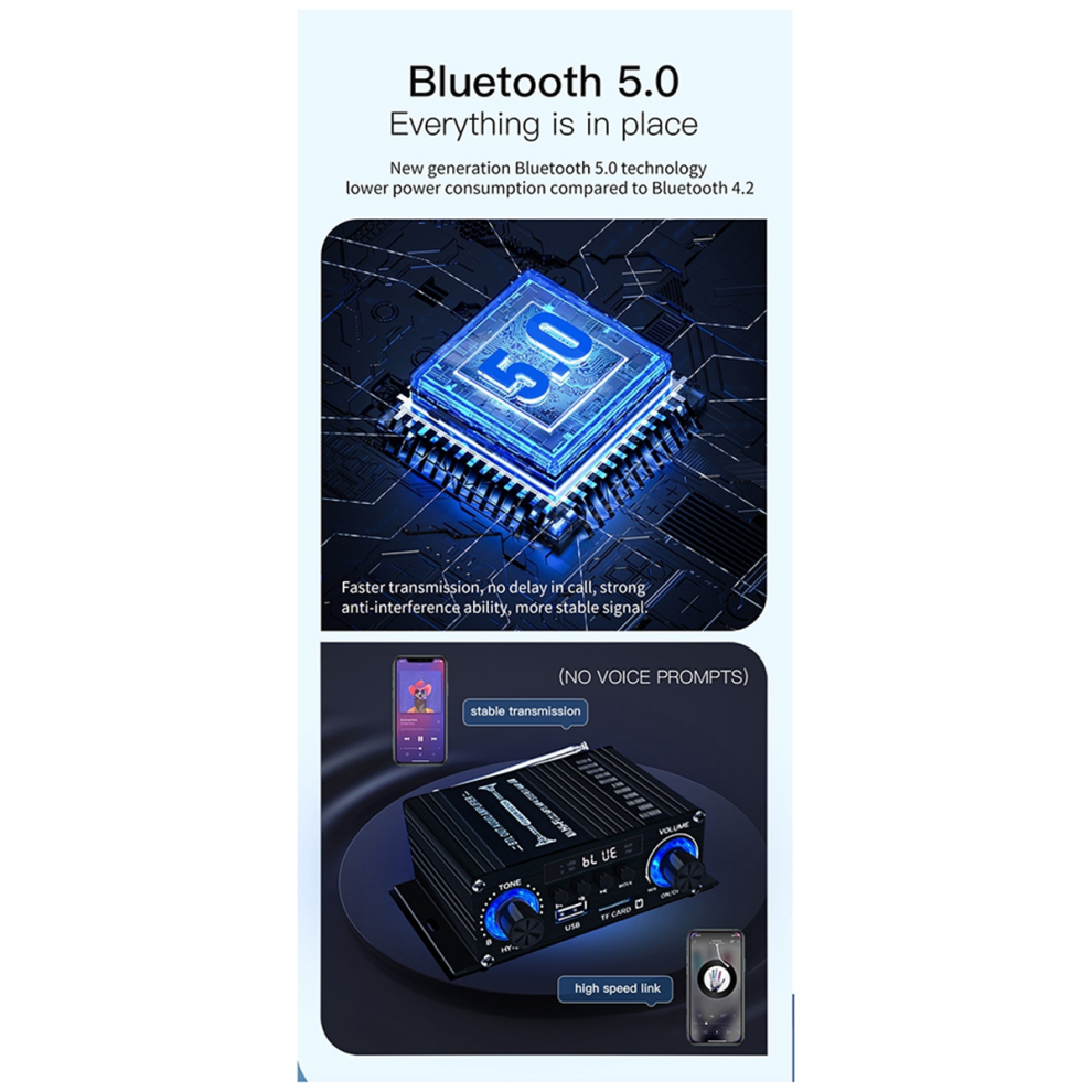 Typecat Digital Bluetooth 2 Channel Amplifier