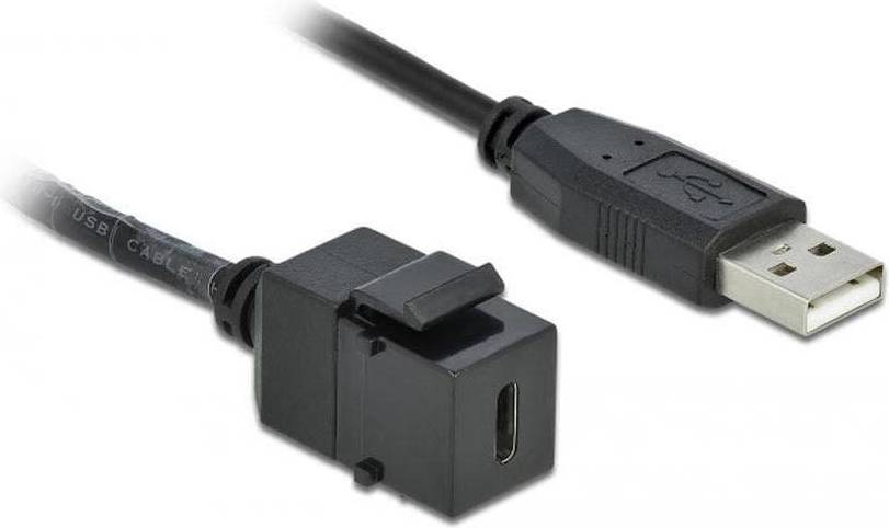 DeLock Keystone Module USB Type C