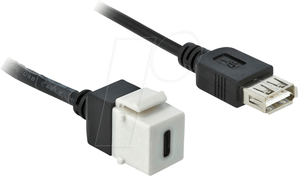 DeLock Keystone Module Hvid