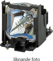 Panasonic Replacement Lamp PT-D10000 Compatible Module