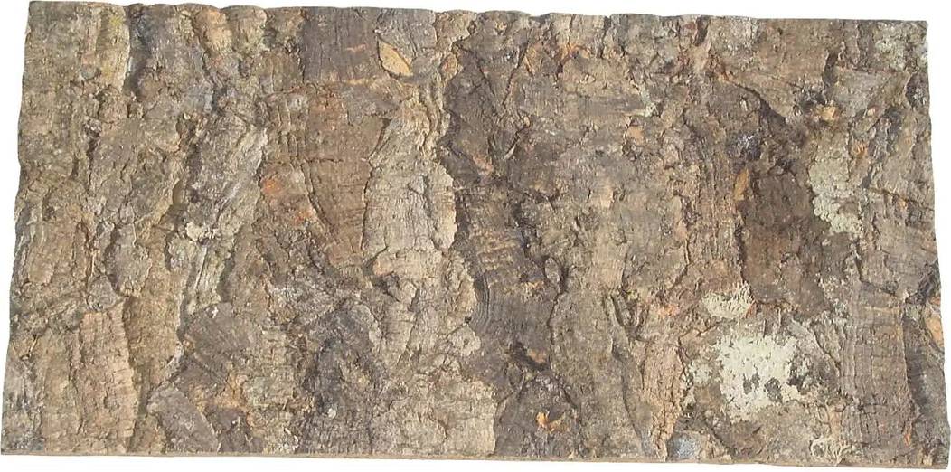 Lucky Reptile Rough Cork Background