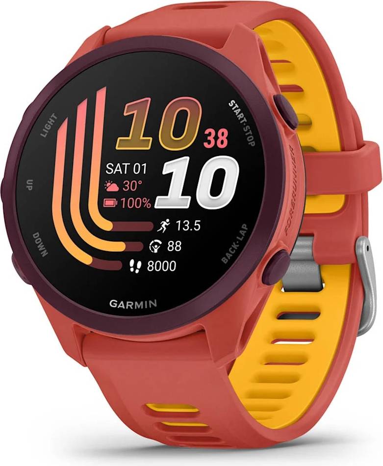Garmin watch Garmin Forerunner 170 Music Watch Rojo Rosa