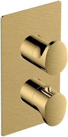 RAK Ceramics Rectangular Two Outlet Shower Valve