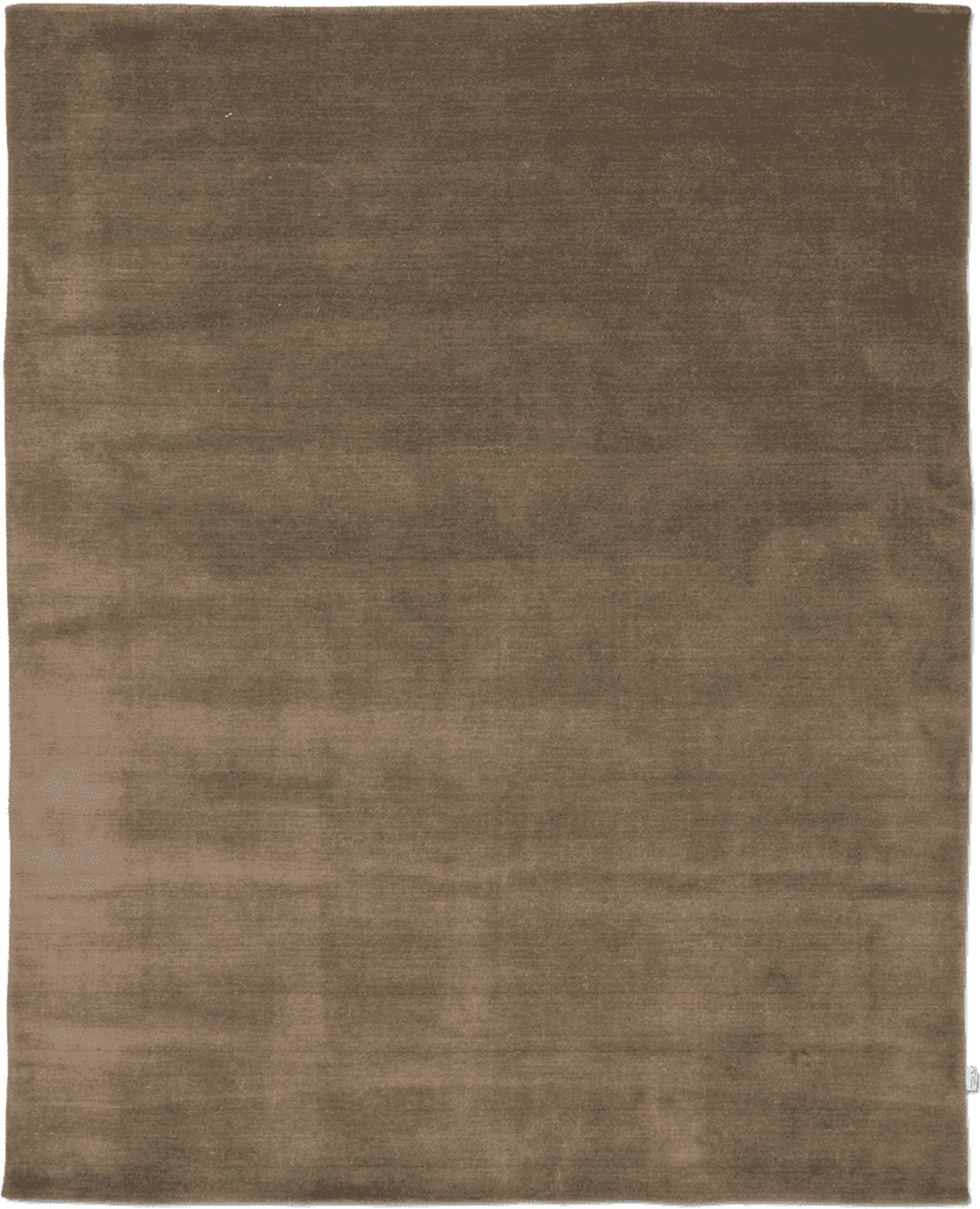 Classic Collection Solid Wool Rug 200x300 cm Brown