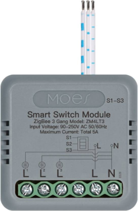 Moes Zigbee Smart Switch Module Voice Control