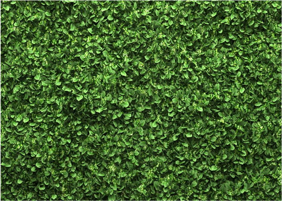Computer Printed Backdrop Lightweight Vinyl