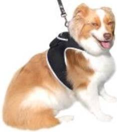 Gps pet tracker ElectroFlip Waterproof Pet Tracker with GPS System