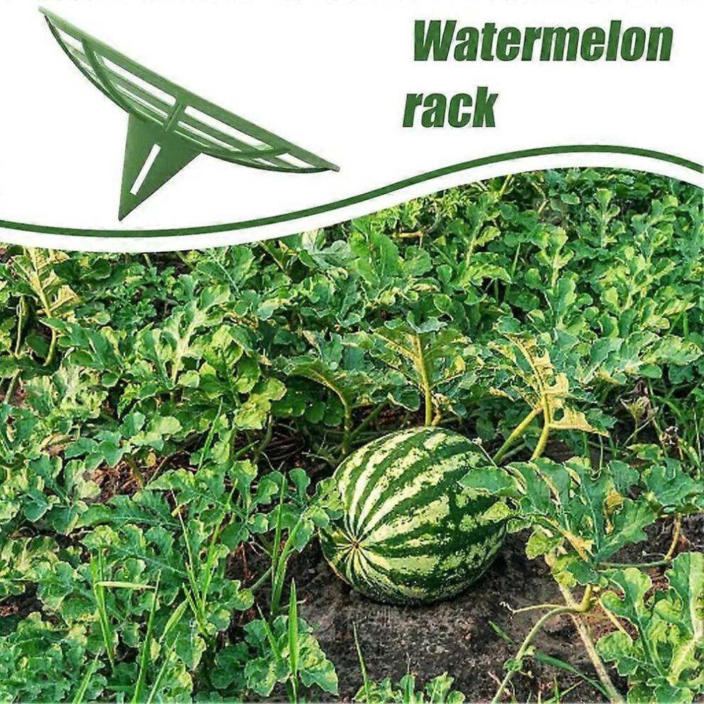 Strawberry Support Squash Protector Stand
