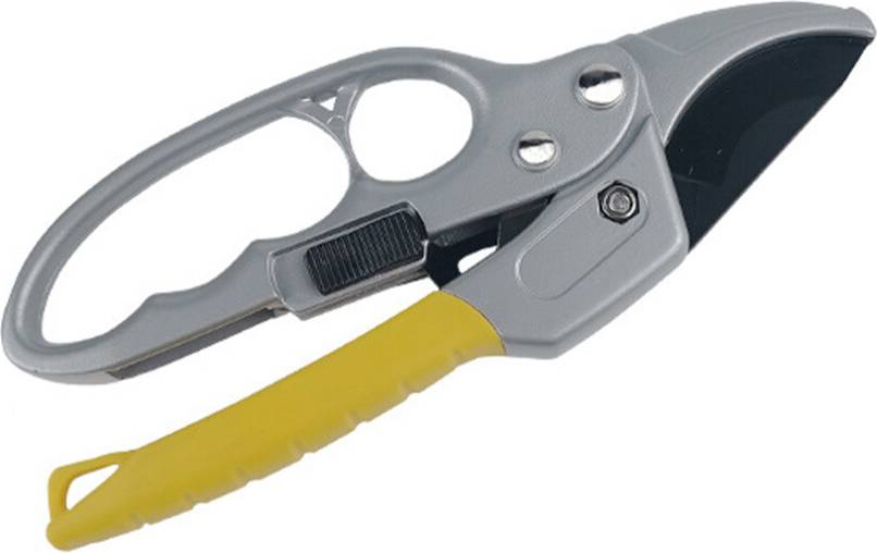 Bypass Pruning Shears With Ratcheting Anvil