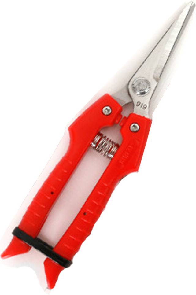 Spring Loaded Stainless Steel Pruning Scissors