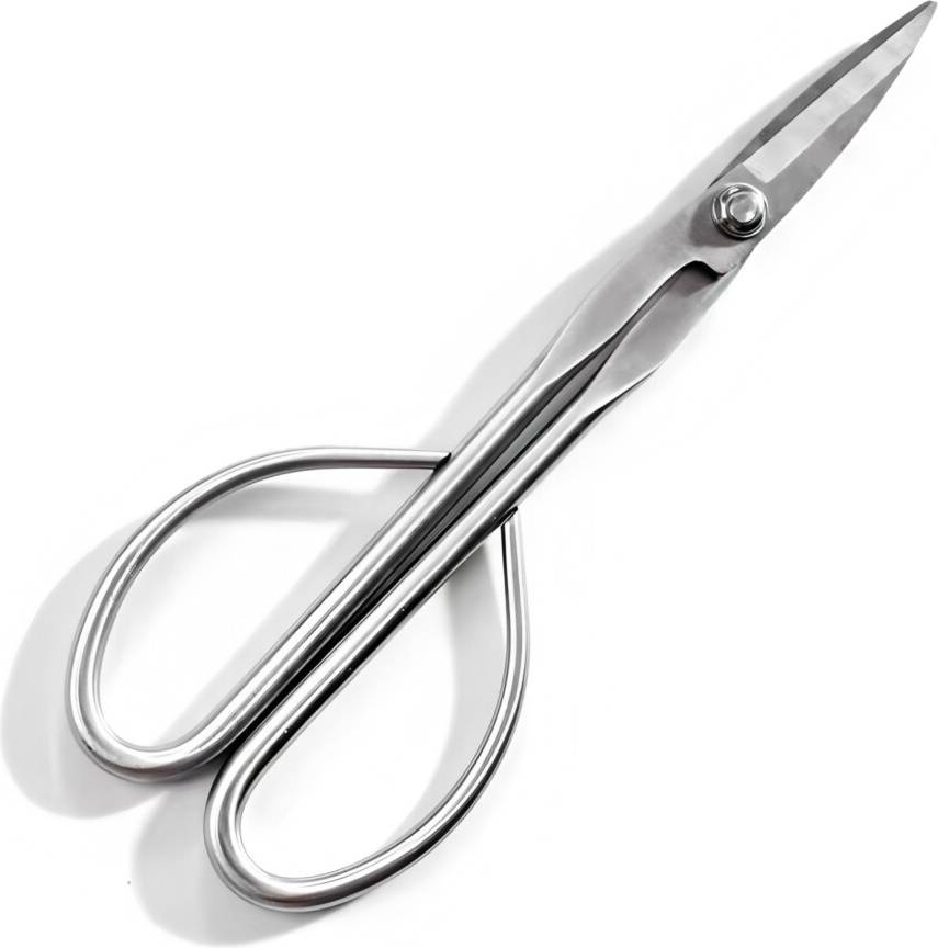 Stainless Steel Blade Precision Pruning Scissors