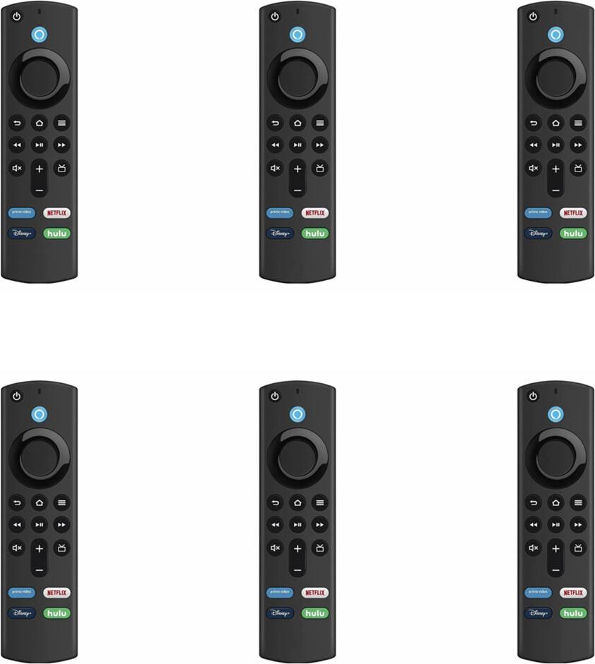 Typecat Replacement Voice Remote Control L5B83G