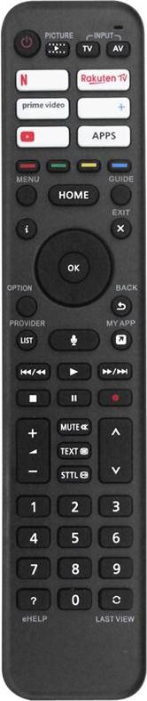 N2QBYA000056 TV Remote Control
