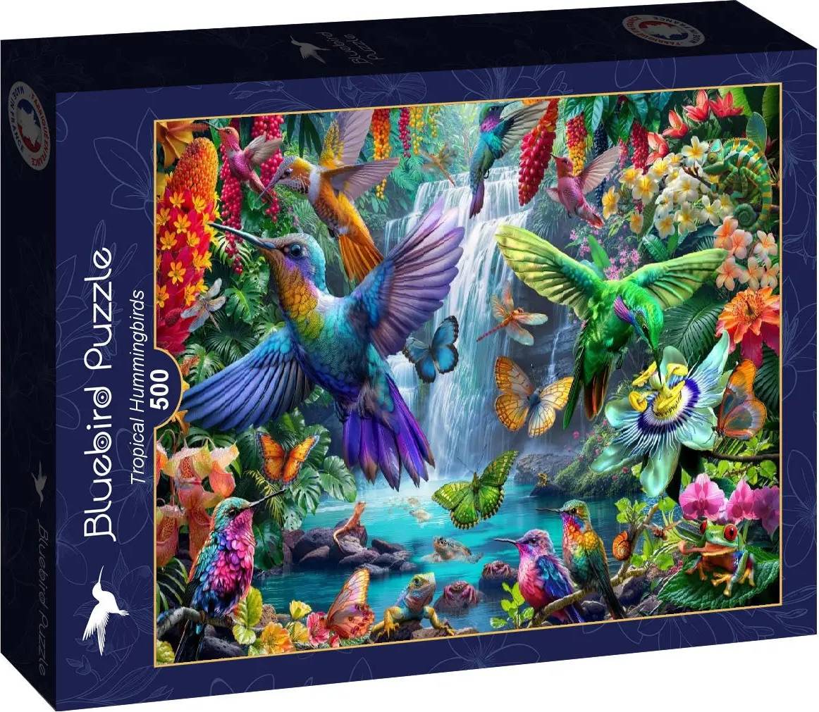 Tropical Hummingbirds